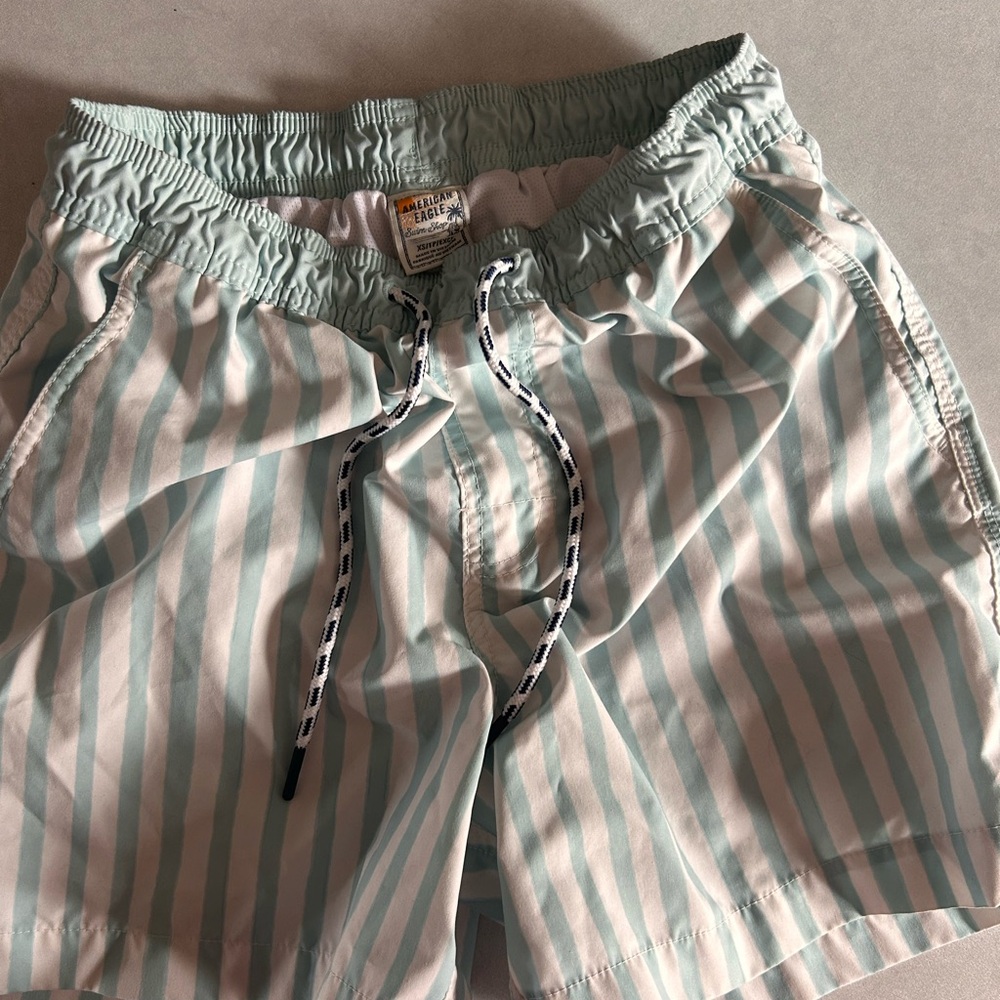 American Eagle Outfitters Blue and White Striped Shorts